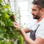 Why Vertical Gardening Is Ideal for People With Limited Mobility