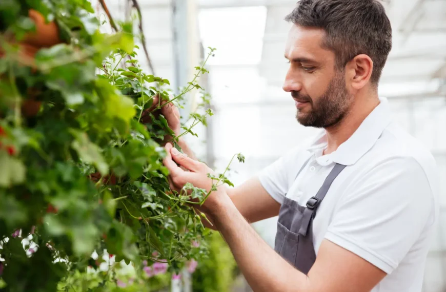 Why Vertical Gardening Is Ideal for People With Limited Mobility