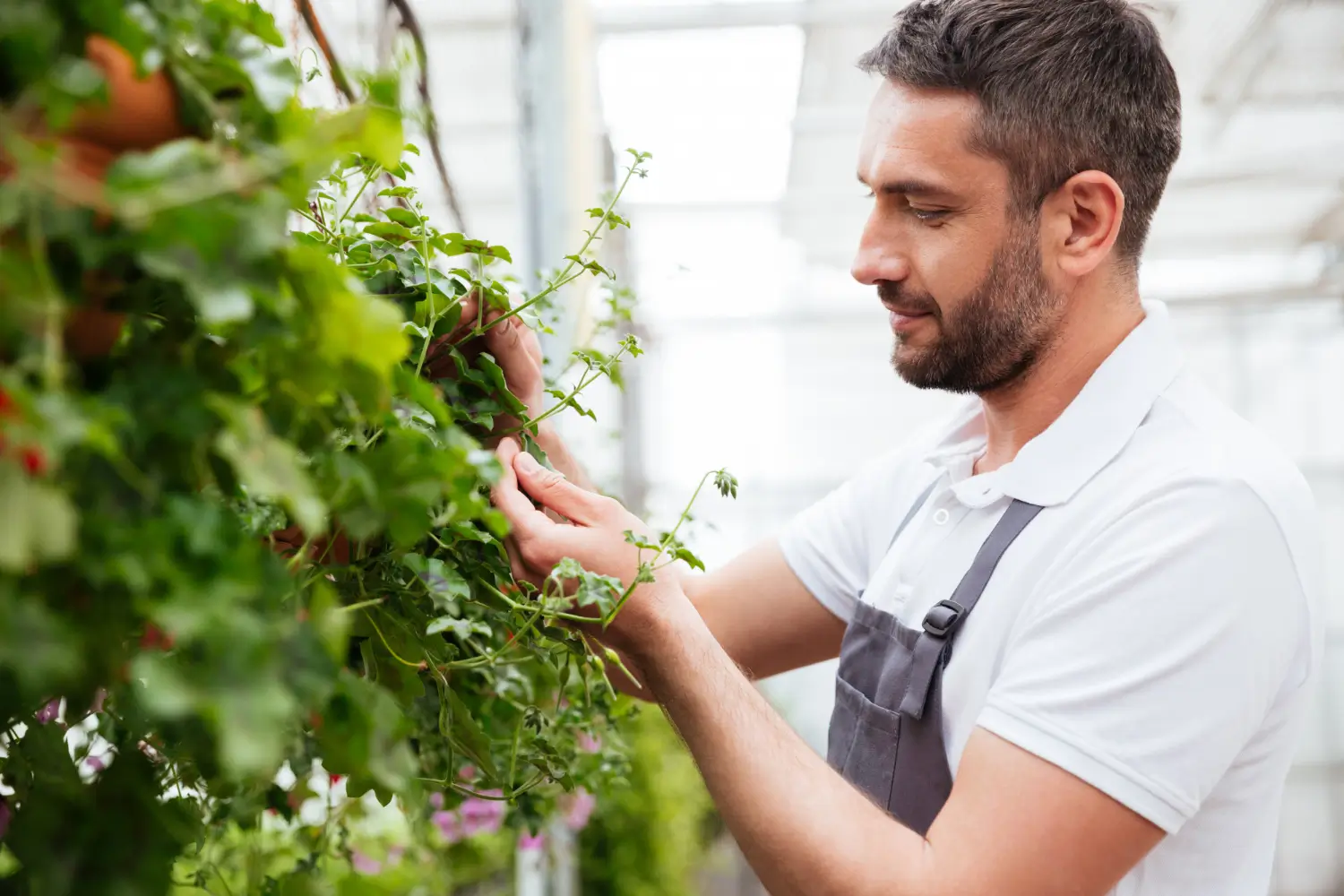 Why Vertical Gardening Is Ideal for People With Limited Mobility