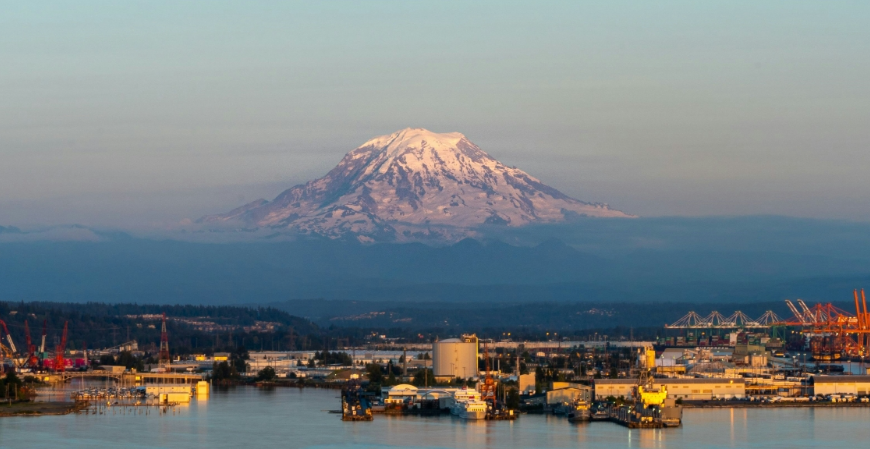 Exhibits, Scans, and Courtroom Visuals Behind NAEGELI Deposition & Trial’s Trial Support in Tacoma