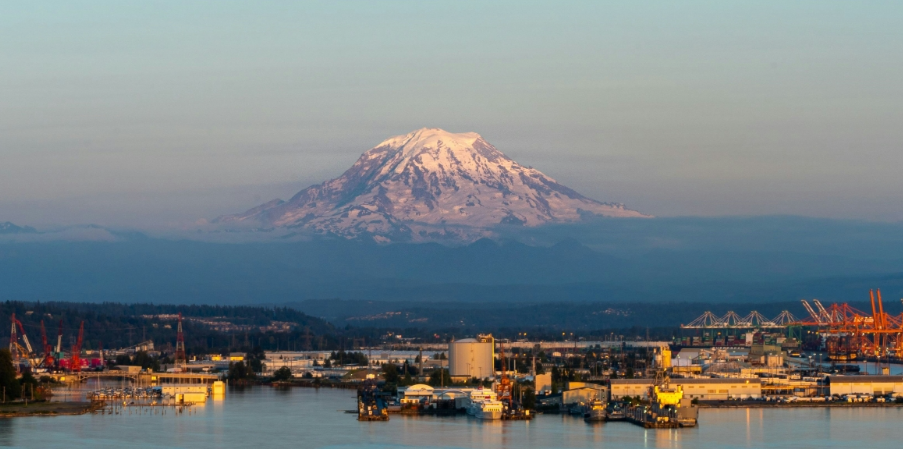 Exhibits, Scans, and Courtroom Visuals Behind NAEGELI Deposition & Trial’s Trial Support in Tacoma